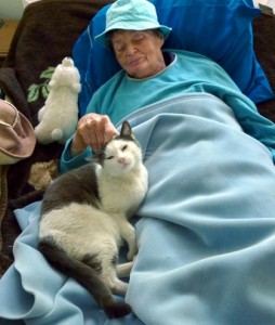 Carol Wright's mom recovering while feline St. Booboo comforts her